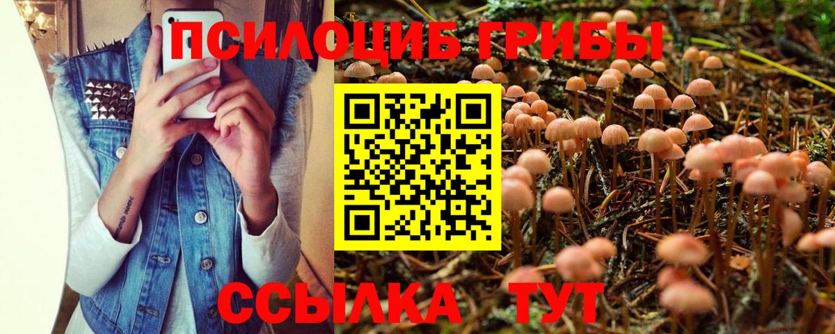 Елабуга  Псилоцибиновые грибы мицелий  Вход с VPN 
