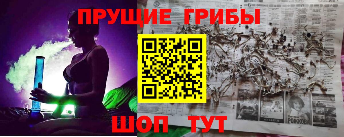 Галлюциногенные грибы мицелий Елабуга